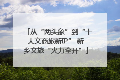 从“两头象”到“十大文商旅新IP” 新乡文旅“火力全开”