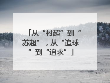 从“村超”到“苏超”，从“追球”到“追求”