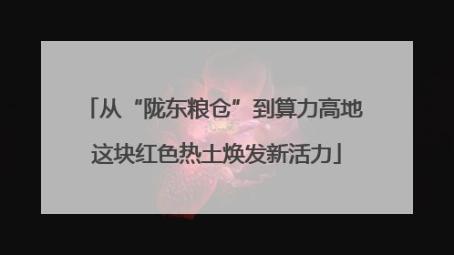 从“陇东粮仓”到算力高地 这块红色热土焕发新活力