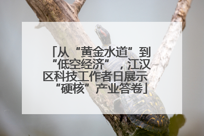 从“黄金水道”到“低空经济”，江汉区科技工作者日展示“硬核”产业答卷