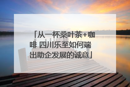 从一杯桑叶茶+咖啡 四川乐至如何端出助企发展的诚意