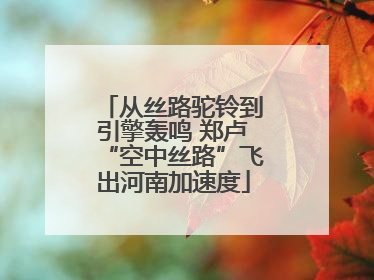 从丝路驼铃到引擎轰鸣 郑卢“空中丝路”飞出河南加速度