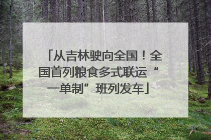 从吉林驶向全国！全国首列粮食多式联运“一单制”班列发车