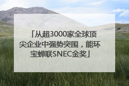 从超3000家全球顶尖企业中强势突围，能环宝蝉联SNEC金奖