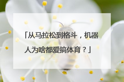 从马拉松到格斗，机器人为啥都爱搞体育？