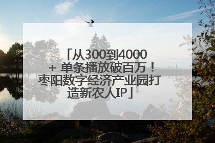 从300到4000+ 单条播放破百万！枣阳数字经济产业园打造新农人IP