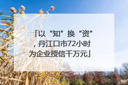 以“知”换“资”，丹江口市72小时为企业授信千万元