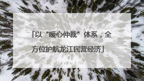 以“暖心仲裁”体系，全方位护航龙江民营经济