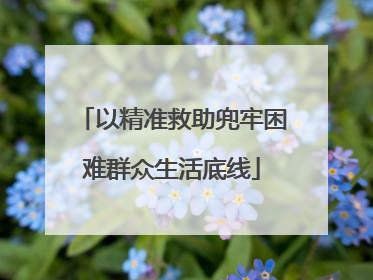 以精准救助兜牢困难群众生活底线