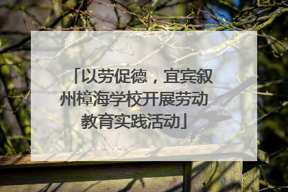 以劳促德，宜宾叙州樟海学校开展劳动教育实践活动