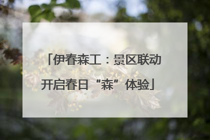伊春森工：景区联动开启春日“森”体验