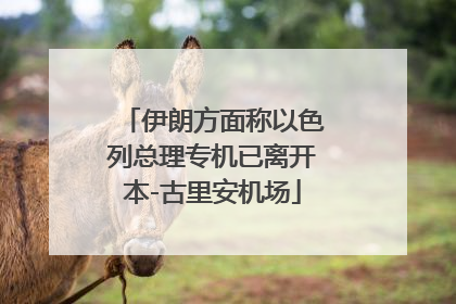 伊朗方面称以色列总理专机已离开本-古里安机场