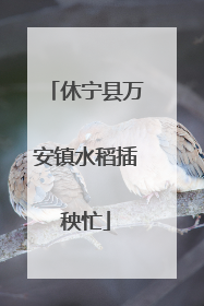 休宁县万安镇水稻插秧忙