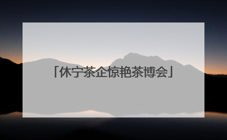 休宁茶企惊艳茶博会