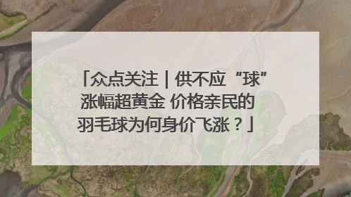 众点关注｜供不应“球” 涨幅超黄金 价格亲民的羽毛球为何身价飞涨？