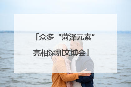 众多“菏泽元素”亮相深圳文博会