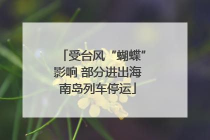 受台风“蝴蝶”影响 部分进出海南岛列车停运