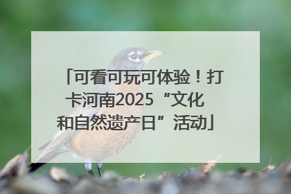可看可玩可体验！打卡河南2025“文化和自然遗产日”活动