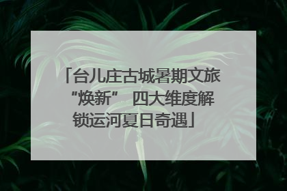 台儿庄古城暑期文旅“焕新” 四大维度解锁运河夏日奇遇