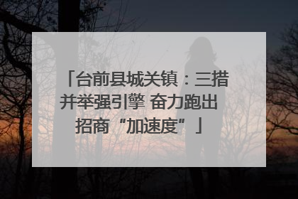 台前县城关镇：三措并举强引擎 奋力跑出招商“加速度”
