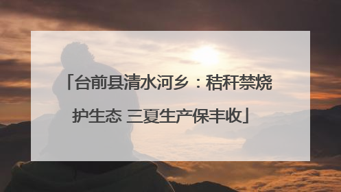 台前县清水河乡：秸秆禁烧护生态 三夏生产保丰收