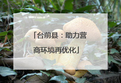 台前县：助力营商环境再优化