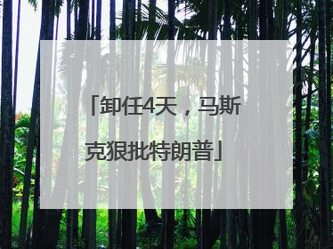 卸任4天，马斯克狠批特朗普