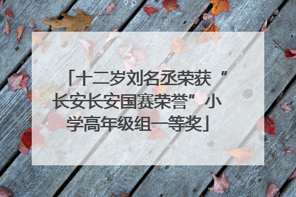 十二岁刘名丞荣获“长安长安国赛荣誉”小学高年级组一等奖