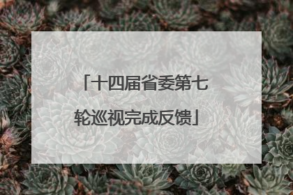 十四届省委第七轮巡视完成反馈