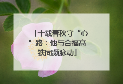 十载春秋守“心”路：他与合福高铁同频脉动