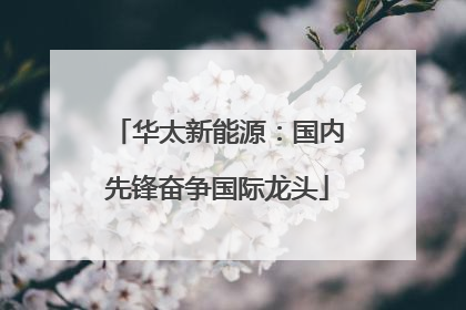 华太新能源：国内先锋奋争国际龙头