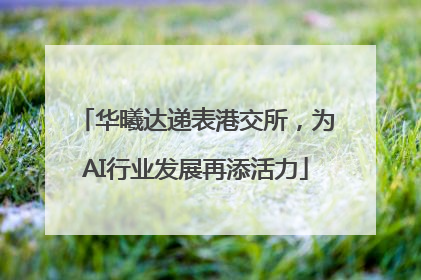 华曦达递表港交所，为AI行业发展再添活力