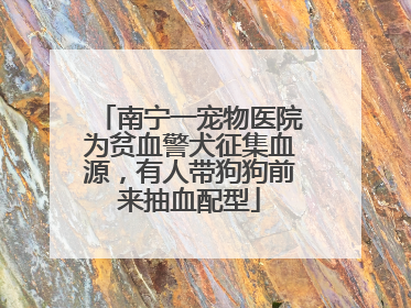 南宁一宠物医院为贫血警犬征集血源，有人带狗狗前来抽血配型