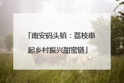 南安码头镇：荔枝串起乡村振兴甜蜜链