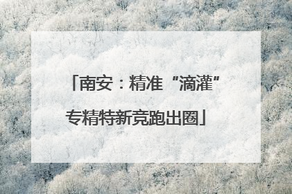 南安：精准“滴灌”专精特新竞跑出圈