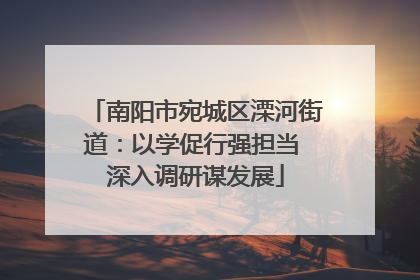 南阳市宛城区溧河街道：以学促行强担当 深入调研谋发展
