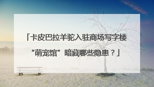 卡皮巴拉羊驼入驻商场写字楼 “萌宠馆”暗藏哪些隐患？