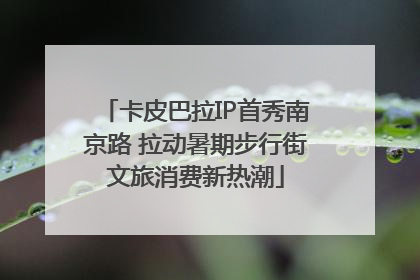 卡皮巴拉IP首秀南京路 拉动暑期步行街文旅消费新热潮