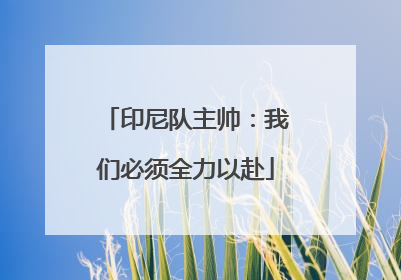 印尼队主帅：我们必须全力以赴