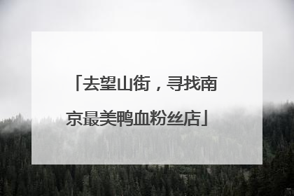 去望山街，寻找南京最美鸭血粉丝店