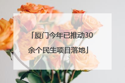 厦门今年已推动30余个民生项目落地