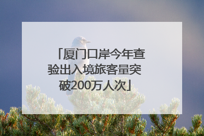 厦门口岸今年查验出入境旅客量突破200万人次