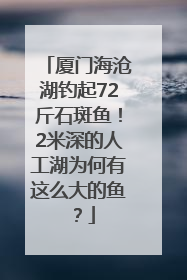 厦门海沧湖钓起72斤石斑鱼！2米深的人工湖为何有这么大的鱼？