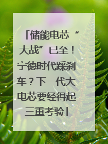 储能电芯“大战”已至！宁德时代踩刹车？下一代大电芯要经得起三重考验