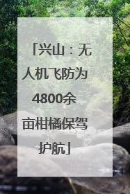 兴山：无人机飞防为4800余亩柑橘保驾护航