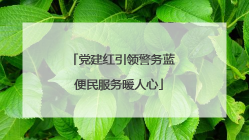 党建红引领警务蓝 便民服务暖人心