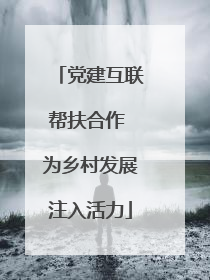 党建互联帮扶合作 为乡村发展注入活力