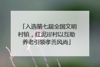 入选第七届全国文明村镇，红泥崖村以互助养老引领孝善风尚