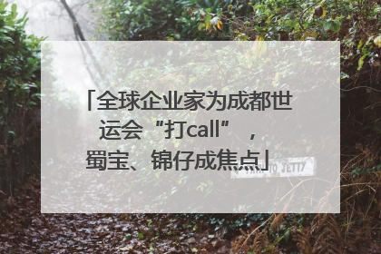 全球企业家为成都世运会“打call”，蜀宝、锦仔成焦点