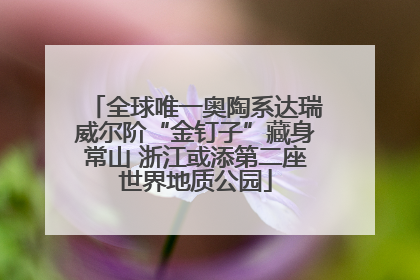 全球唯一奥陶系达瑞威尔阶“金钉子”藏身常山 浙江或添第二座世界地质公园